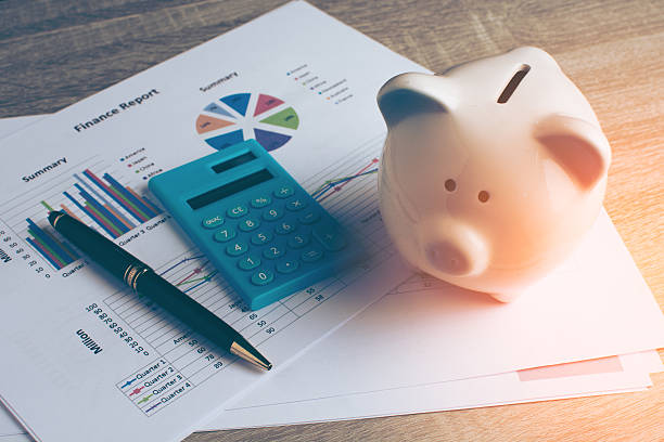 Best Financial Counseling and Guidance  in Rushford, MN